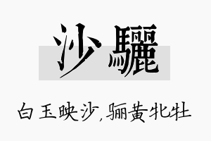 沙骊名字的寓意及含义