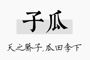 子瓜名字的寓意及含义