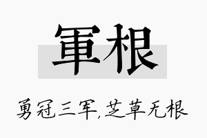 军根名字的寓意及含义