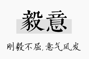 毅意名字的寓意及含义