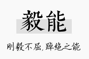 毅能名字的寓意及含义