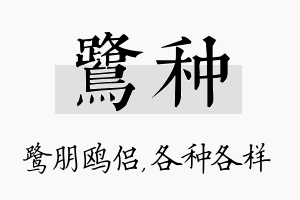 鹭种名字的寓意及含义