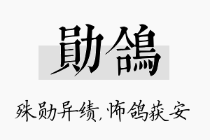 勋鸽名字的寓意及含义