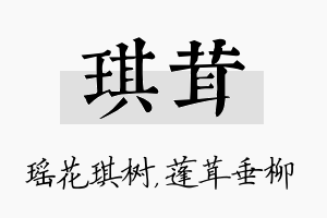 琪茸名字的寓意及含义