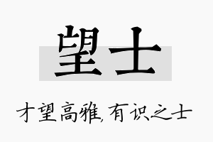 望士名字的寓意及含义