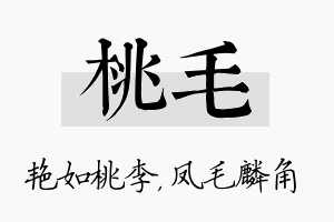 桃毛名字的寓意及含义