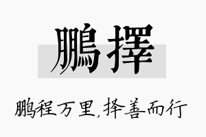 鹏择名字的寓意及含义