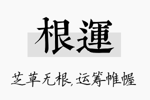 根运名字的寓意及含义