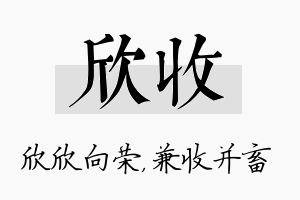 欣收名字的寓意及含义