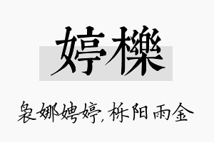 婷栎名字的寓意及含义