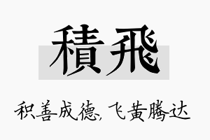 积飞名字的寓意及含义