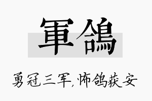 军鸽名字的寓意及含义