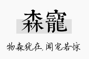 森宠名字的寓意及含义