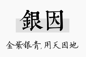 银因名字的寓意及含义