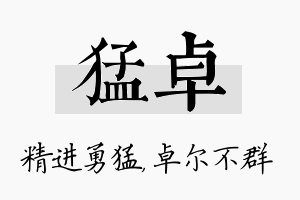 猛卓名字的寓意及含义