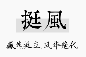 挺风名字的寓意及含义