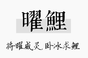 曜鲤名字的寓意及含义