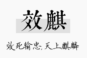 效麒名字的寓意及含义