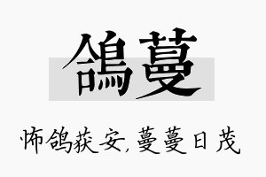 鸽蔓名字的寓意及含义