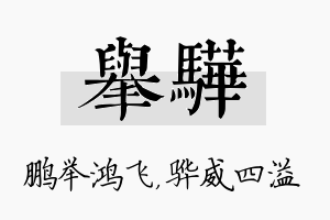 举骅名字的寓意及含义