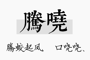 腾哓名字的寓意及含义