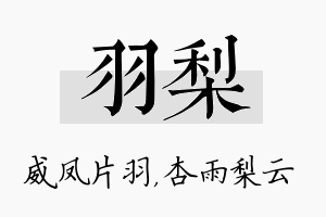 羽梨名字的寓意及含义