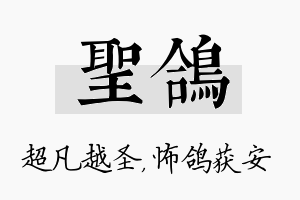 圣鸽名字的寓意及含义