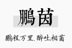 鹏茵名字的寓意及含义