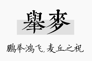 举麦名字的寓意及含义