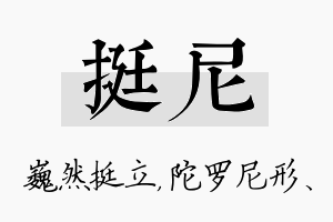 挺尼名字的寓意及含义