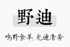 野迪名字的寓意及含义