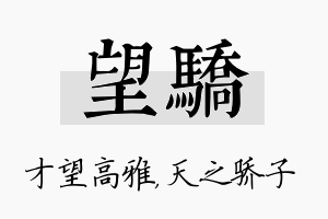 望骄名字的寓意及含义