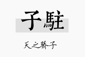 子驻名字的寓意及含义