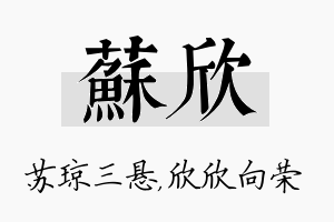 苏欣名字的寓意及含义