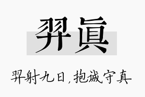 羿真名字的寓意及含义