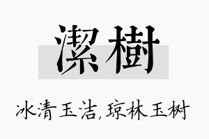 洁树名字的寓意及含义