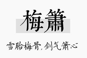 梅箫名字的寓意及含义