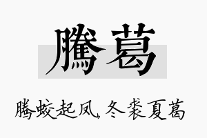 腾葛名字的寓意及含义