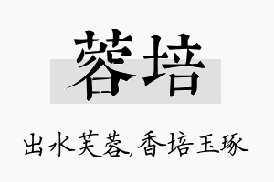 蓉培名字的寓意及含义