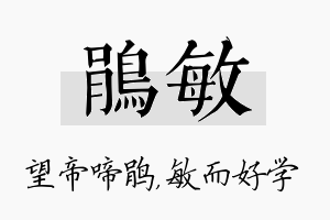 鹃敏名字的寓意及含义