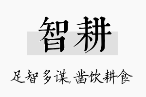 智耕名字的寓意及含义