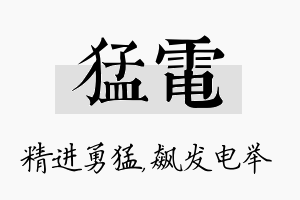 猛电名字的寓意及含义