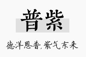 普紫名字的寓意及含义