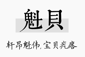 魁贝名字的寓意及含义