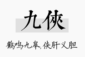 九侠名字的寓意及含义