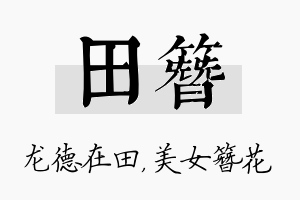 田簪名字的寓意及含义