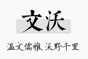 文沃名字的寓意及含义