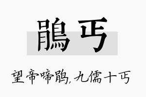 鹃丐名字的寓意及含义