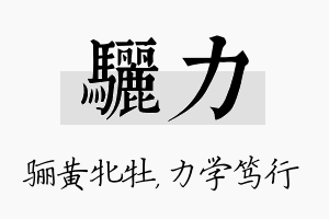 骊力名字的寓意及含义