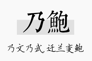 乃鲍名字的寓意及含义